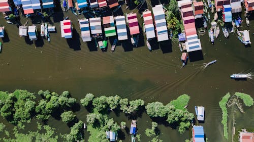 Trees and Houses on Lake