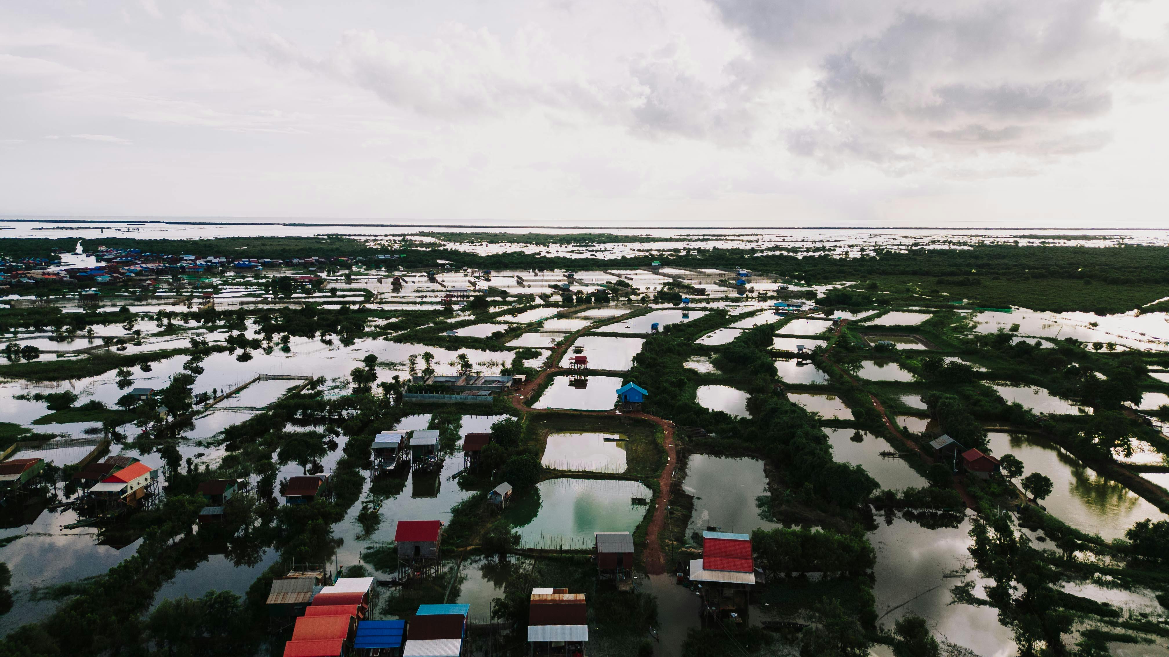 climate resilience sea level rise — Photo by K on Pexels