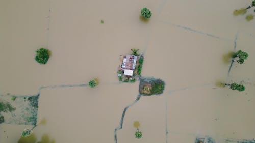 Avoid Floodwater Hazards After Storms With These Tips