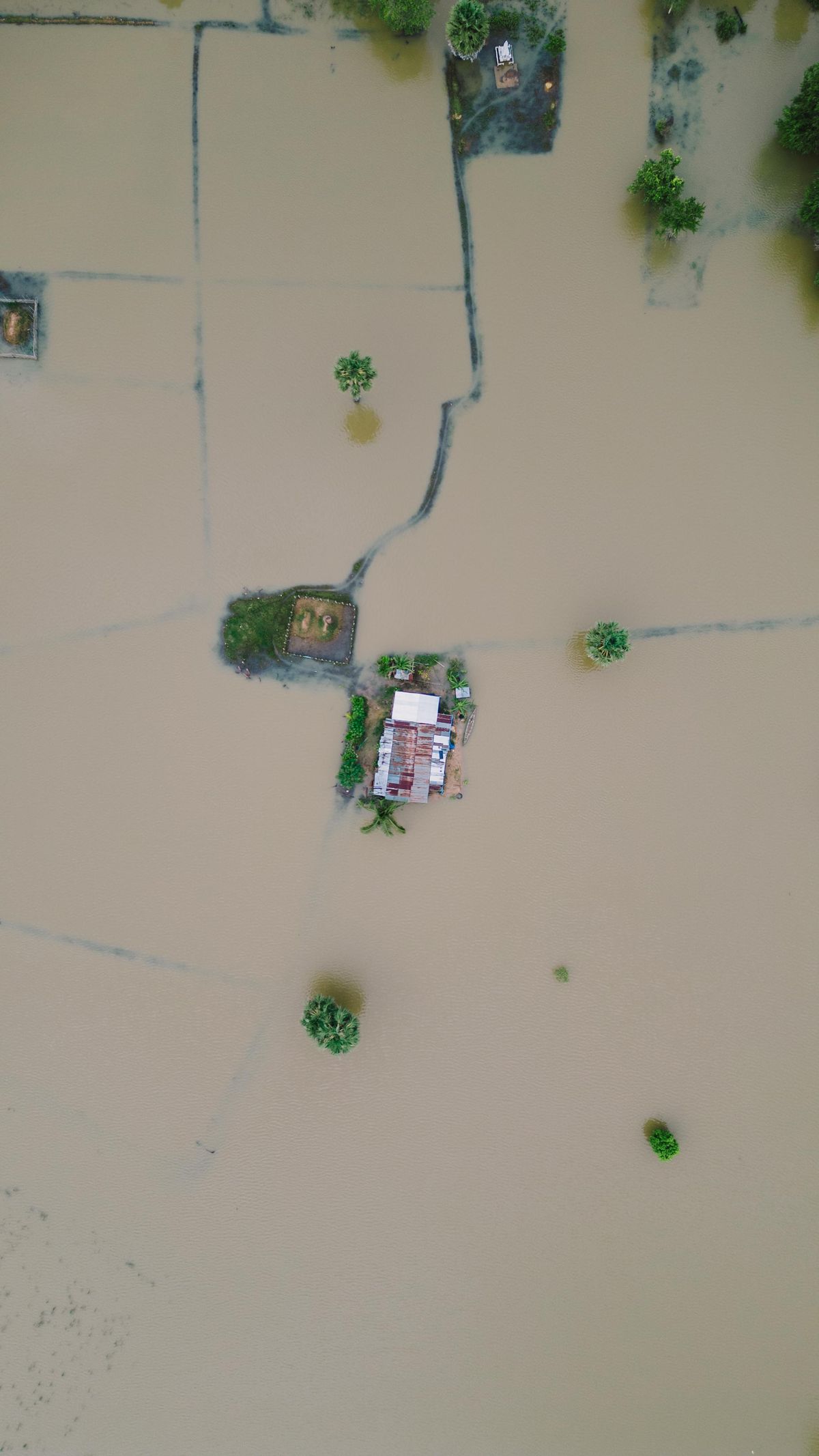 水につかった農地と家を上空から見た写真