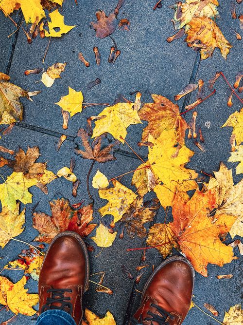 Free Brown shoes standing on a pavement covered in vibrant autumn leaves. Stock Photo