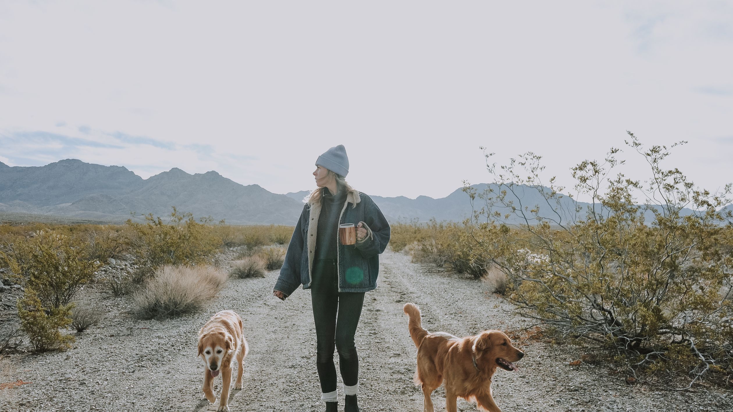 A woman enjoys a leisurely walk with her dogs on a scenic desert trail.