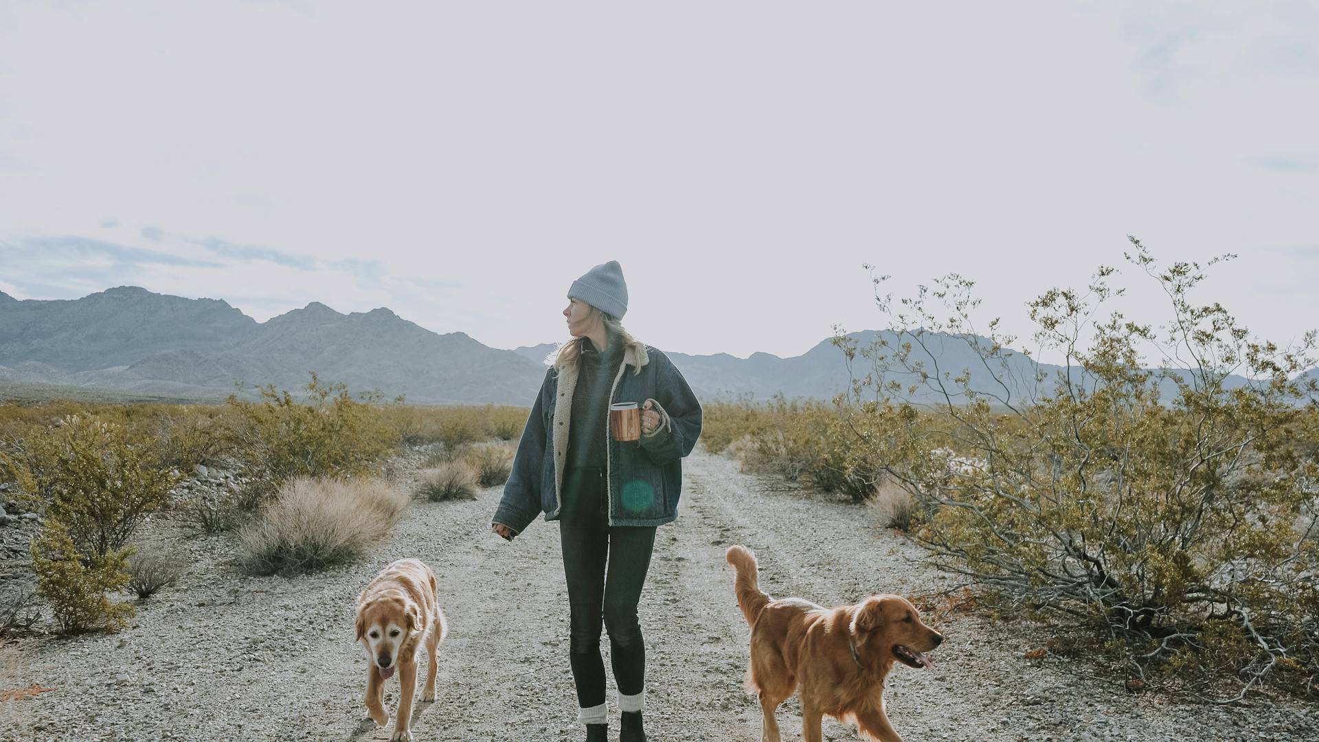 A Woman Walking with Two Dogs on the Background of Mountains