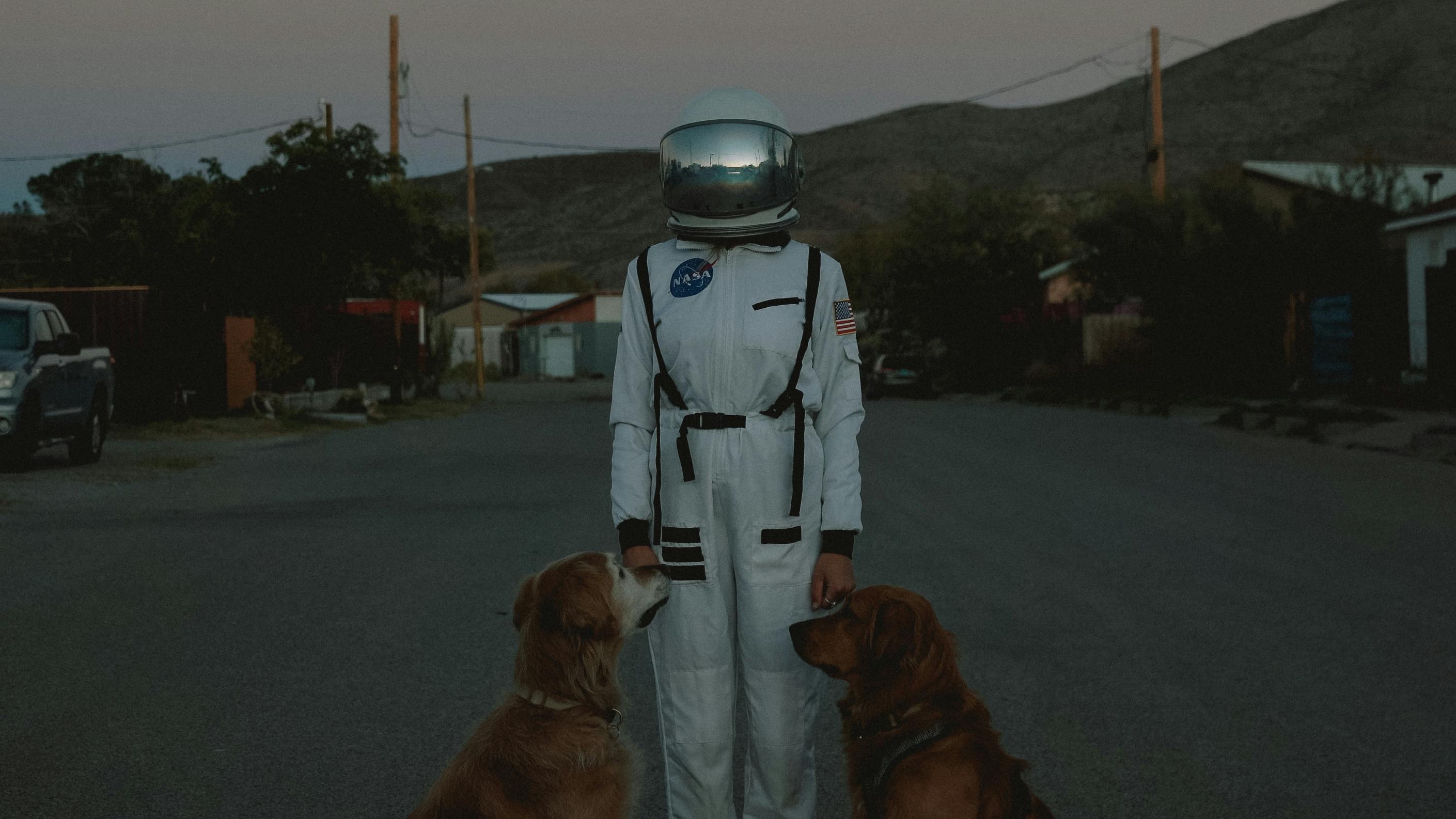 Man Wearing Astronaut Costume with Dogs