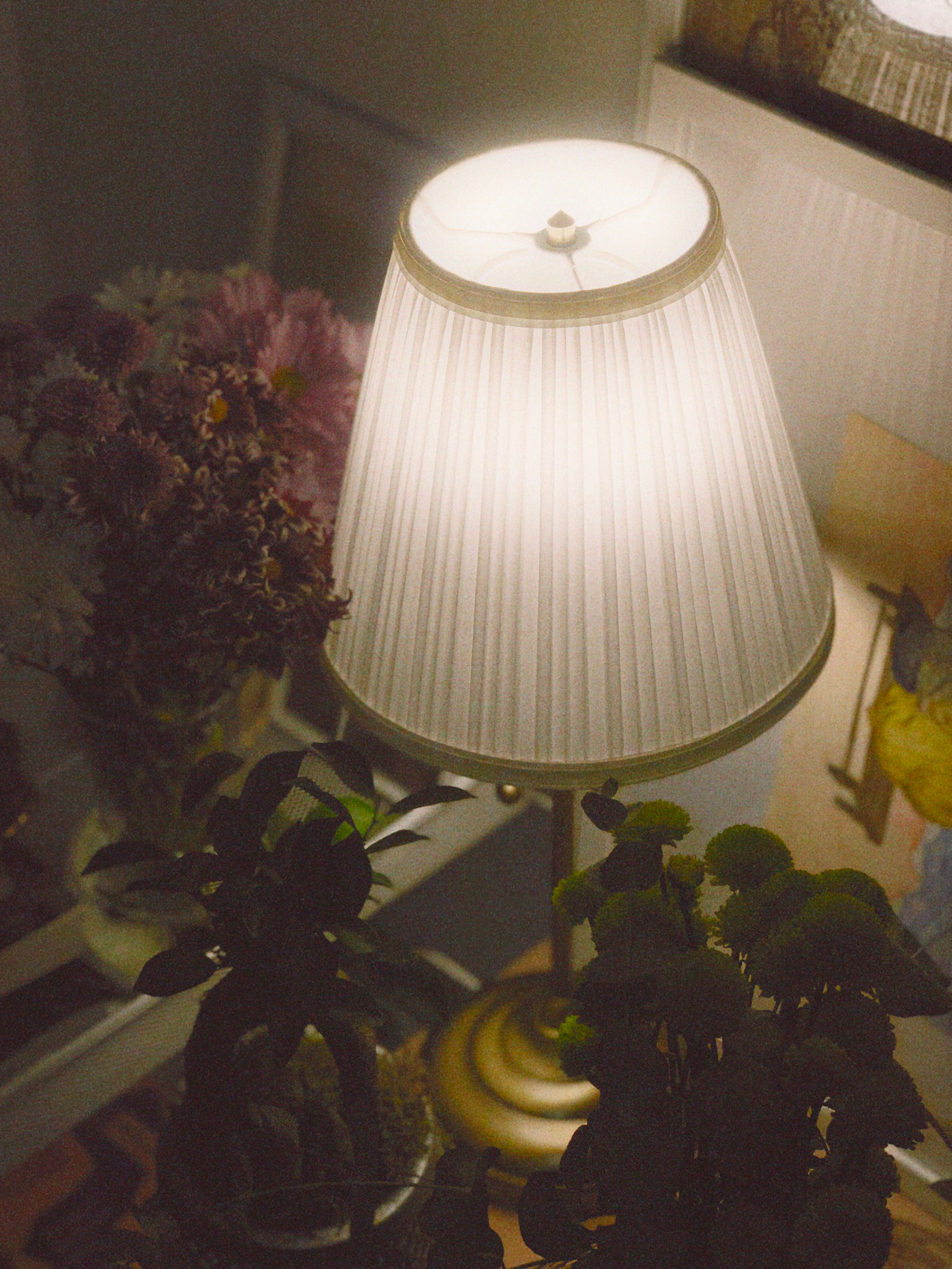 A seasonal spin on low-maintenance houseplants
