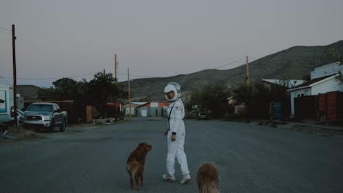 Passeio Com Cachorro Astronauta