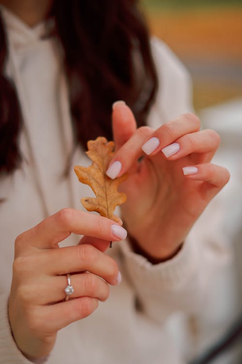 Woman Hands Holding Leaf