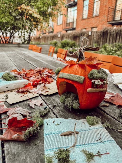 An Autumnal Decoration Made from a Pumpkin, Leaves and Moss Lying on a Table 