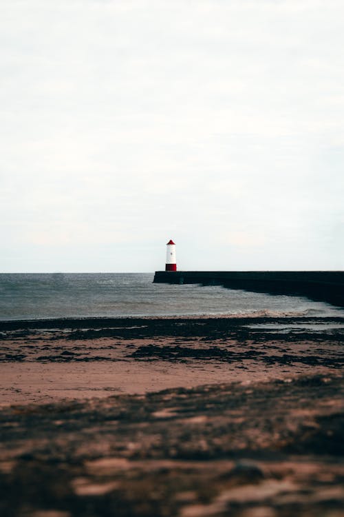 Kostenloses Stock Foto zu berwick, berwick leuchtturm, england