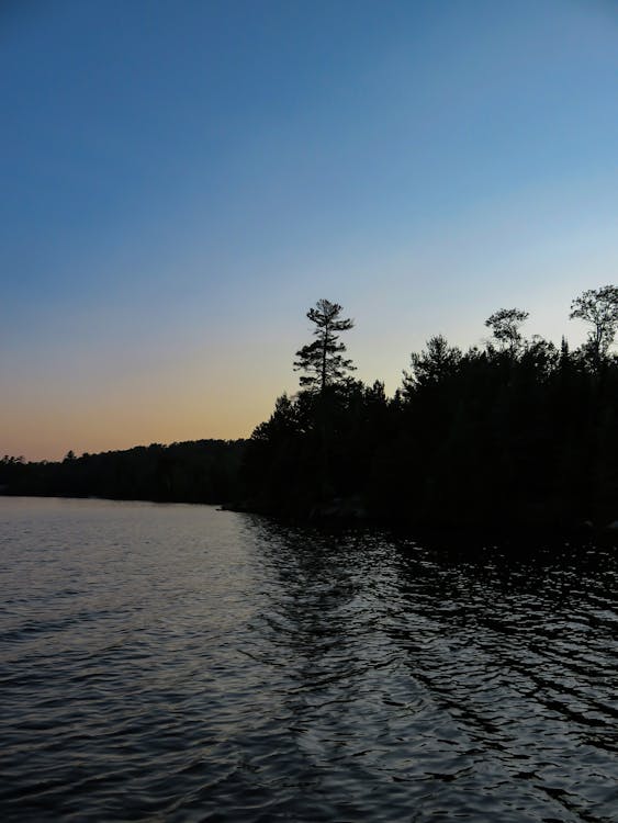 Gratis arkivbilde med innsjø, natur, silhuett