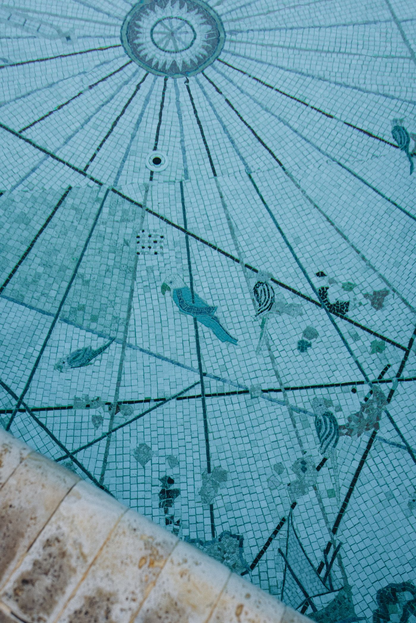 Classic blue swimming pool mosaic tiles