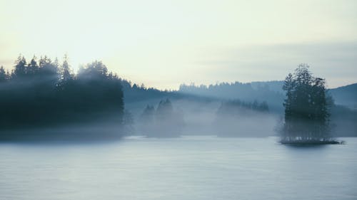 Fog over Lake with Islands with Trees