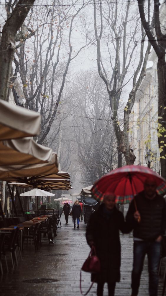 Rainy Weekend Photos, Download The BEST Free Rainy Weekend Stock Photos ...