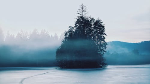 Fog over Lake with Island with Forest