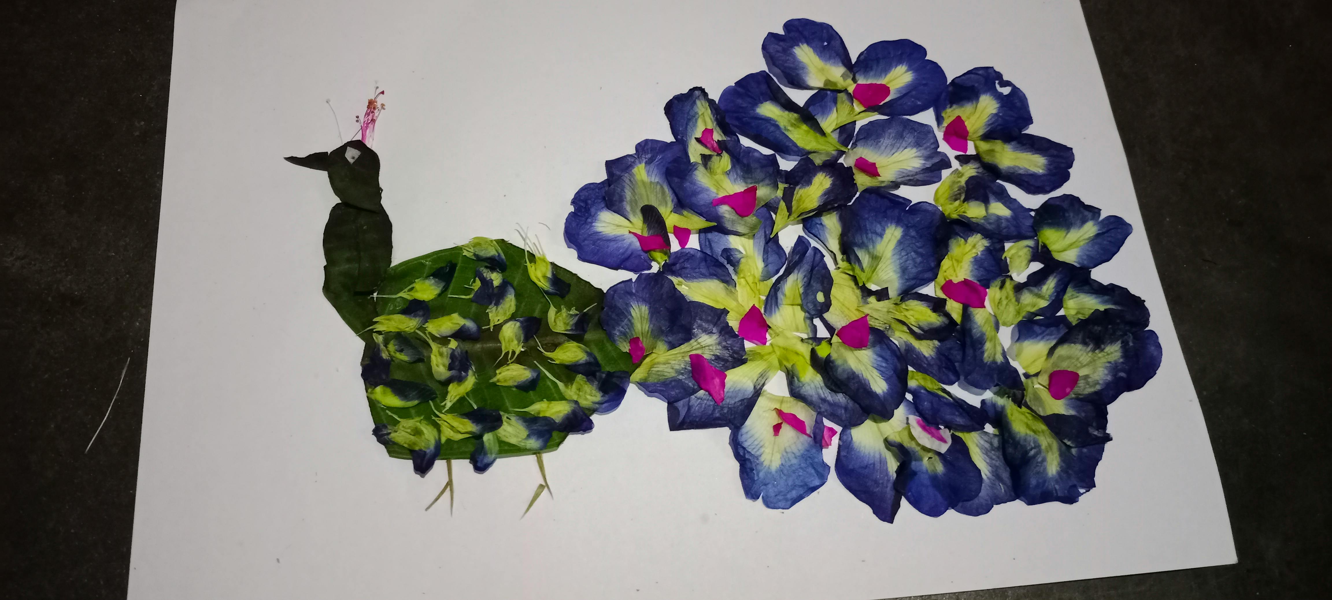 夜空を見上げるカップルと星占い