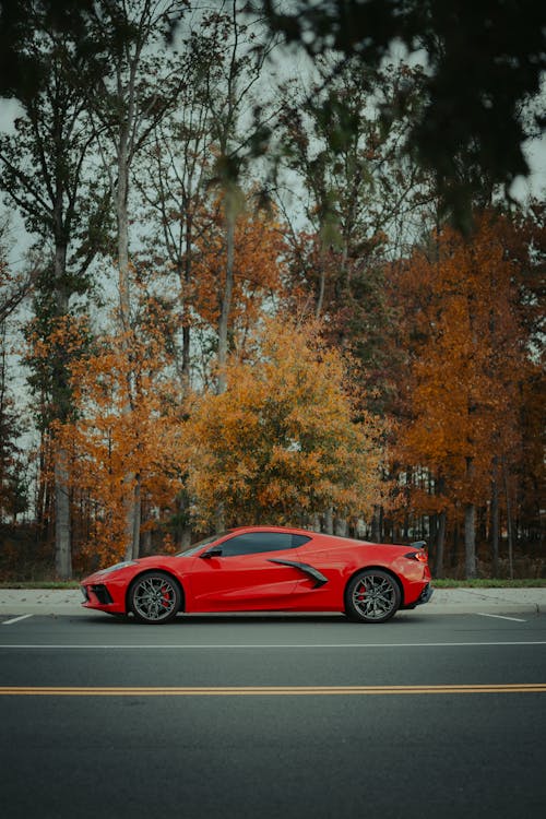 Red Chevrolet Corvette C8 on a Parking Lot by the Autumn Trees