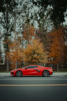 Stunning red Corvette C8 parked amidst vibrant autumn foliage.