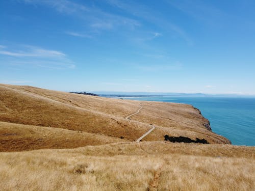 Ảnh lưu trữ miễn phí về christecl, New Zealand