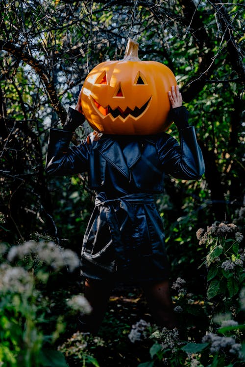 かぼちゃ, かぼちゃの頭, コスチュームの無料の写真素材