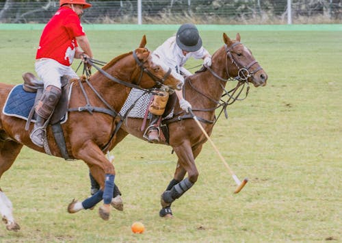 Δωρεάν στοκ φωτογραφιών με άθλημα, άλογα, άνδρες