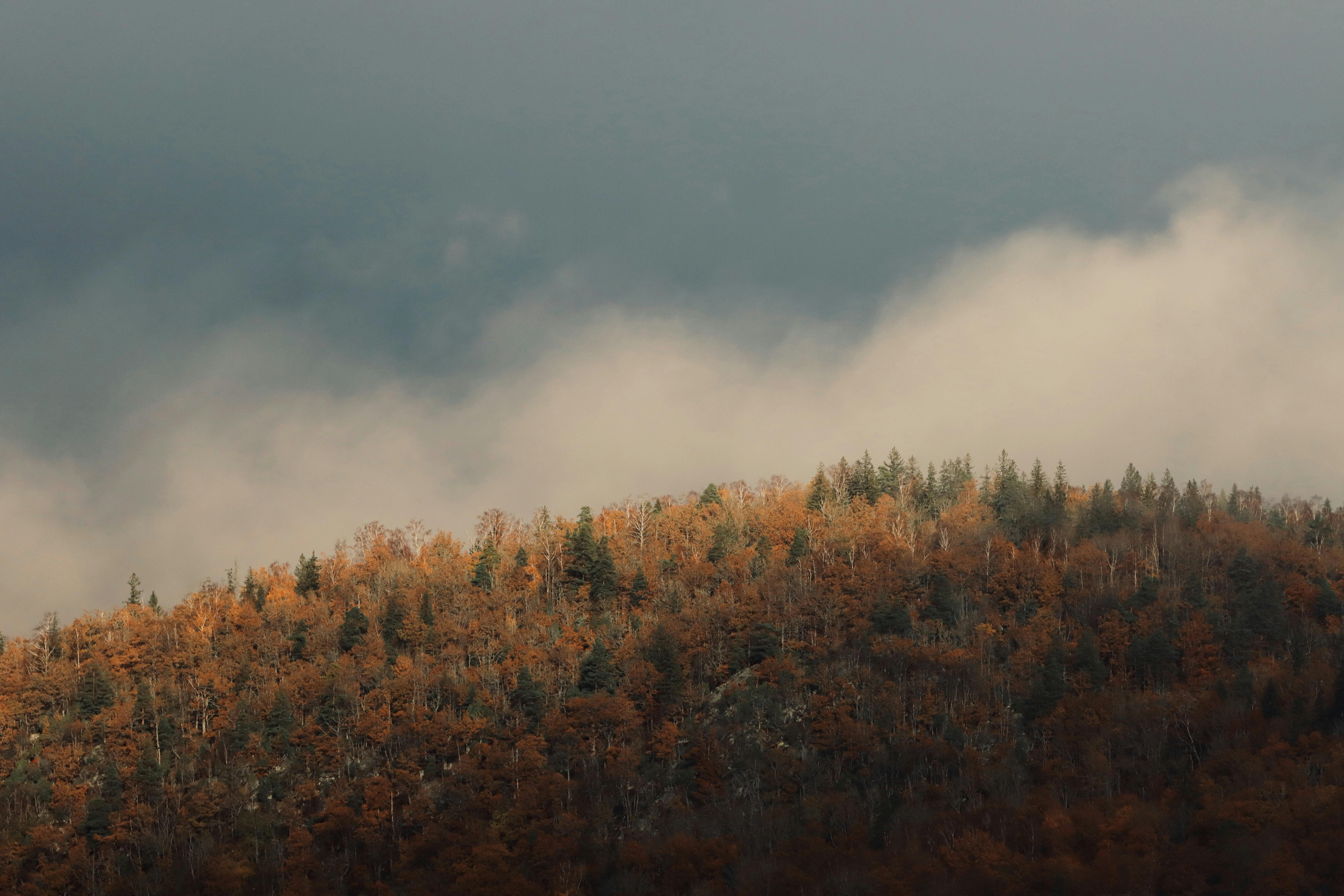 ce ne aduce luna aceasta?