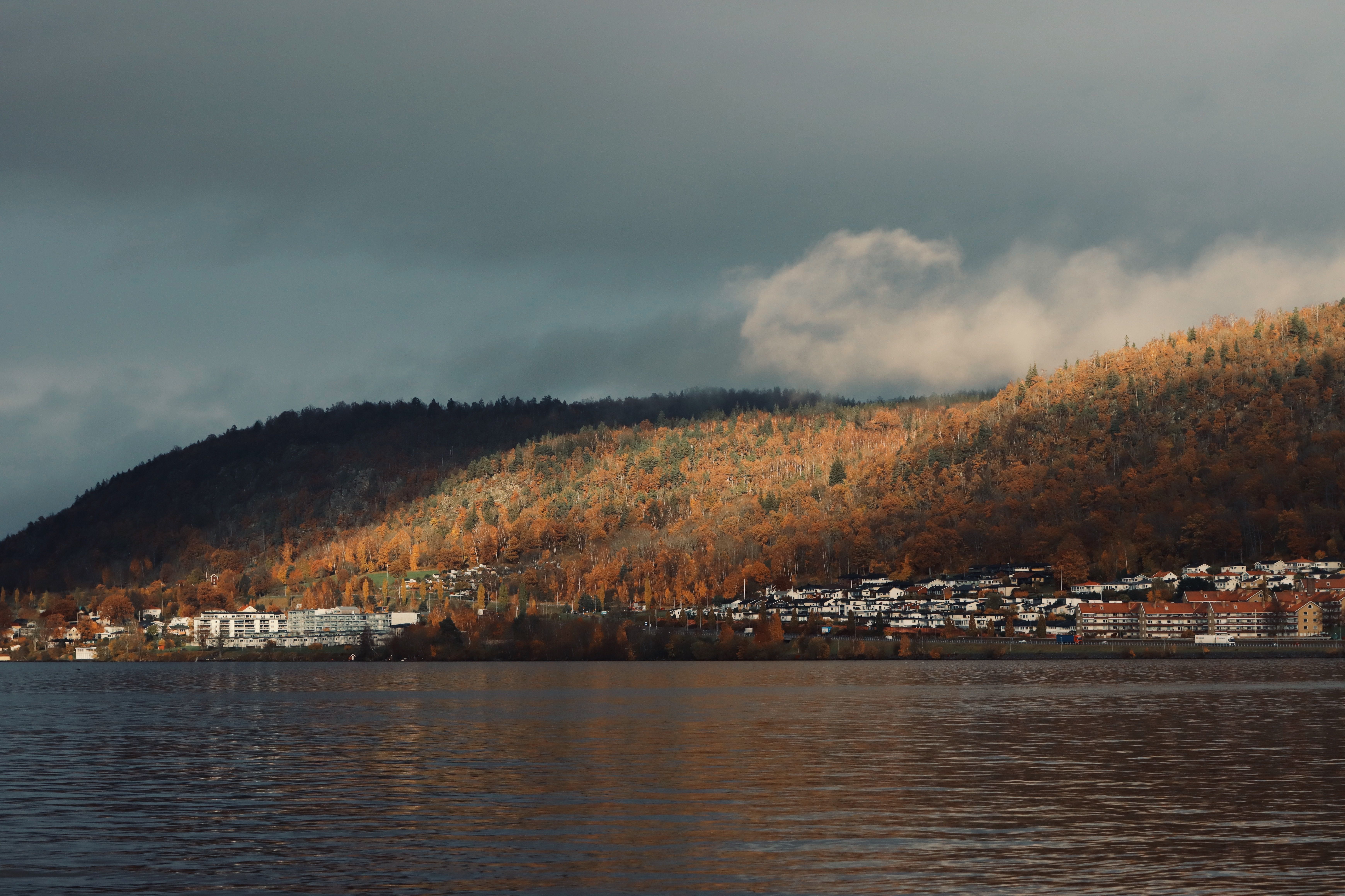 Forest Lake