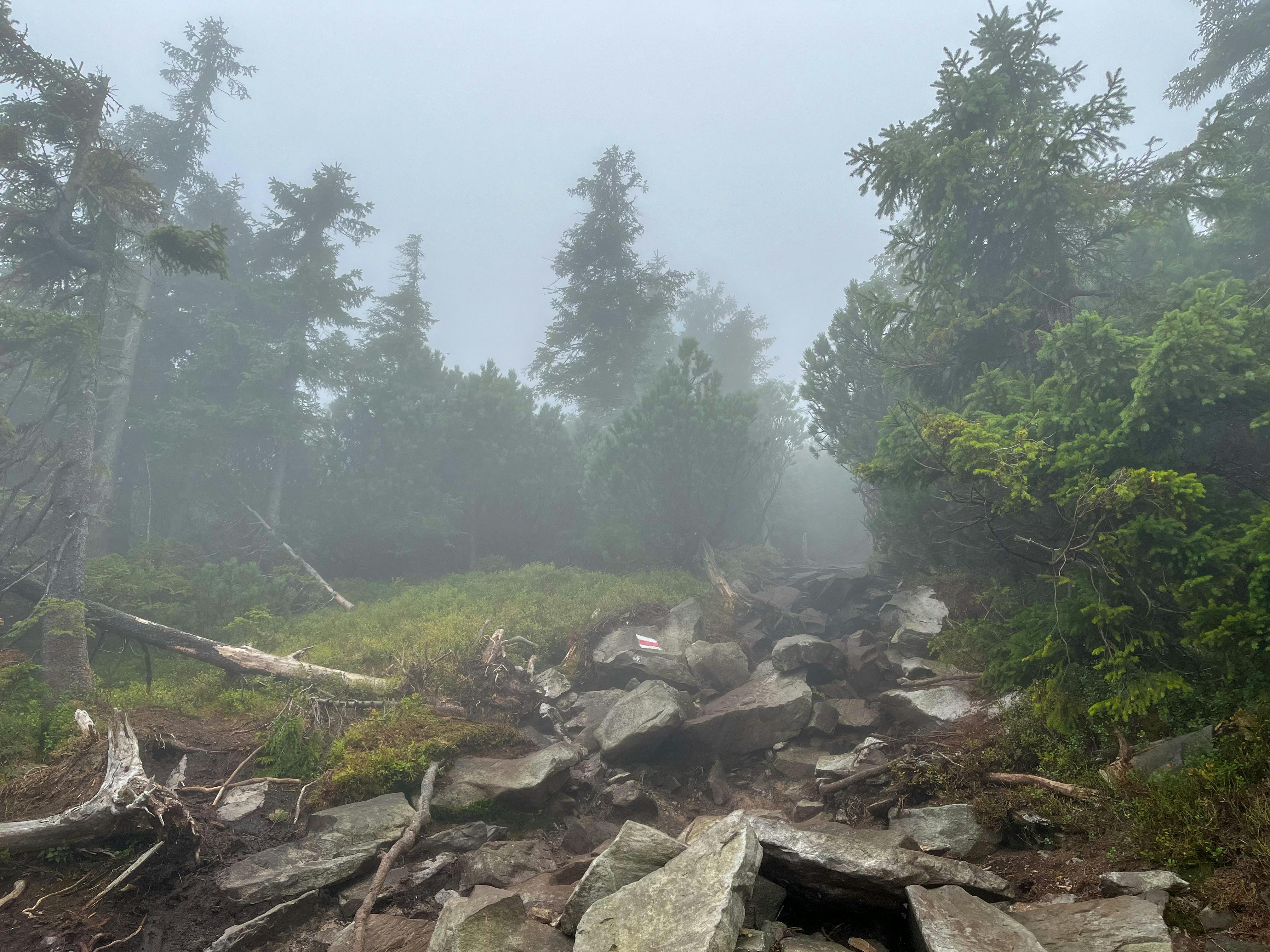 Large crowd inside a football stadium in India at night