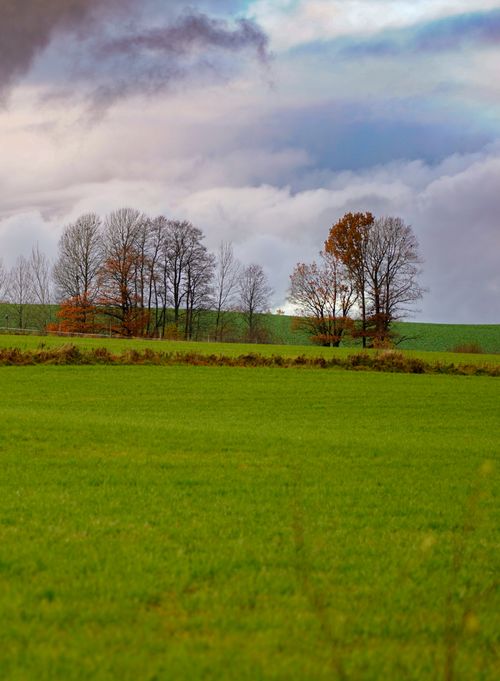Free Tranquil landscape of a lush green field with trees under a dramatic sky. Stock Photo