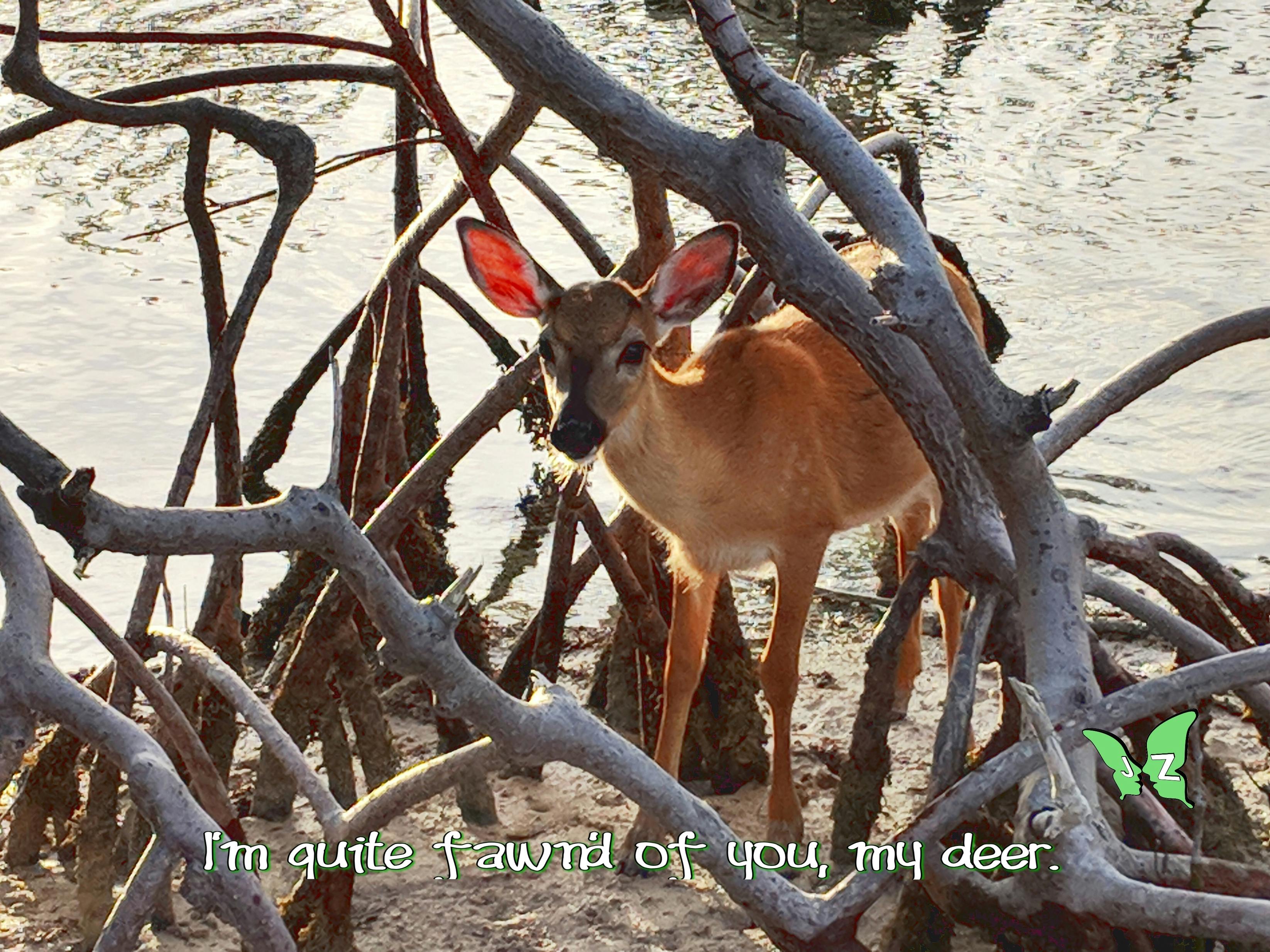 Skyline von Kopenhagen bei Sonnenuntergang
