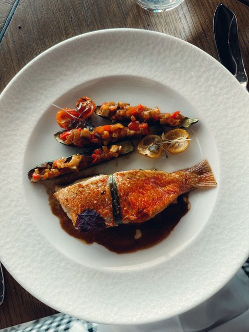 Free Top view of a gourmet fish dish served with stuffed zucchini and sauce on a white plate. Stock Photo