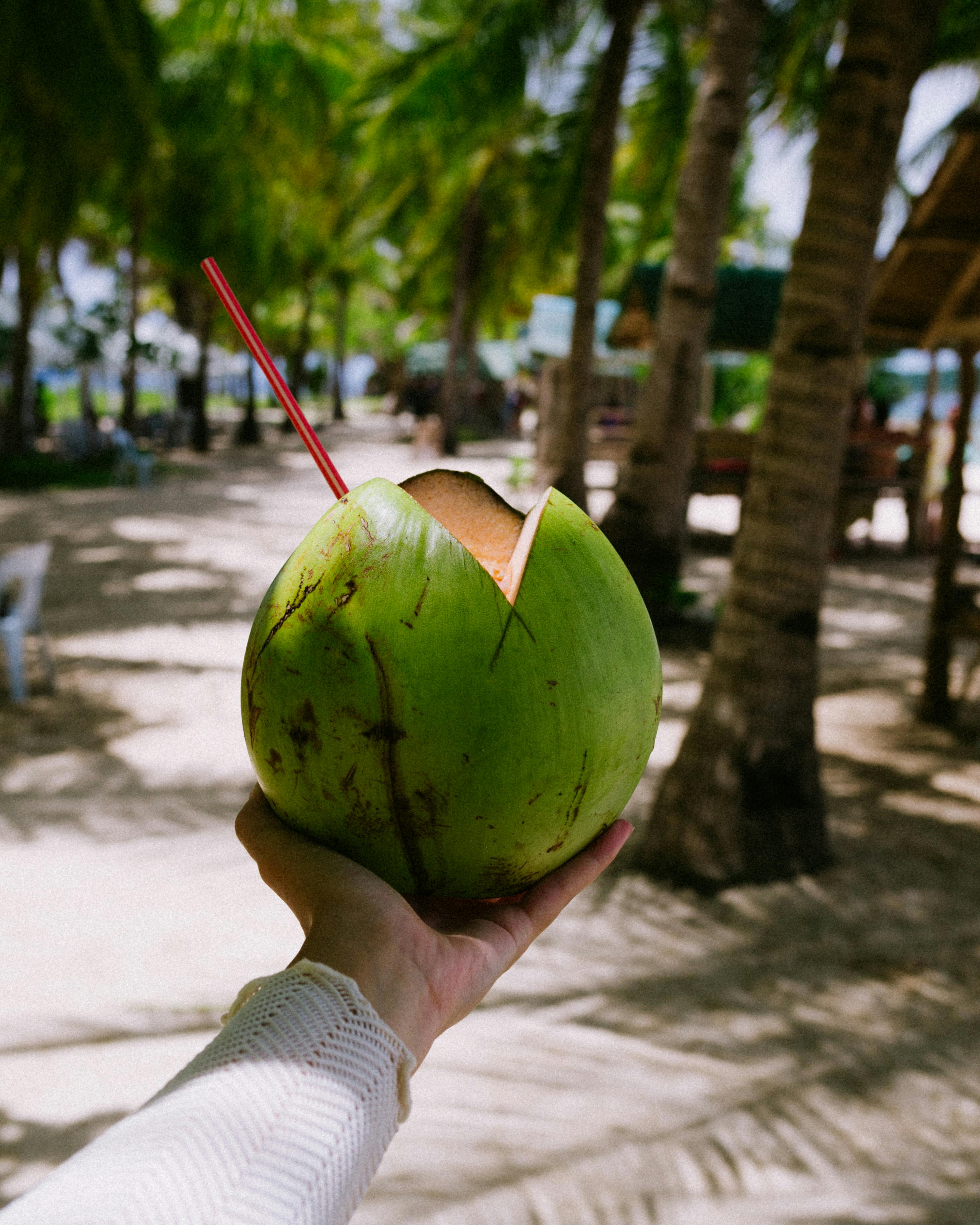 Hand holding fresh coconut with straw on a tropical beach under palm trees.