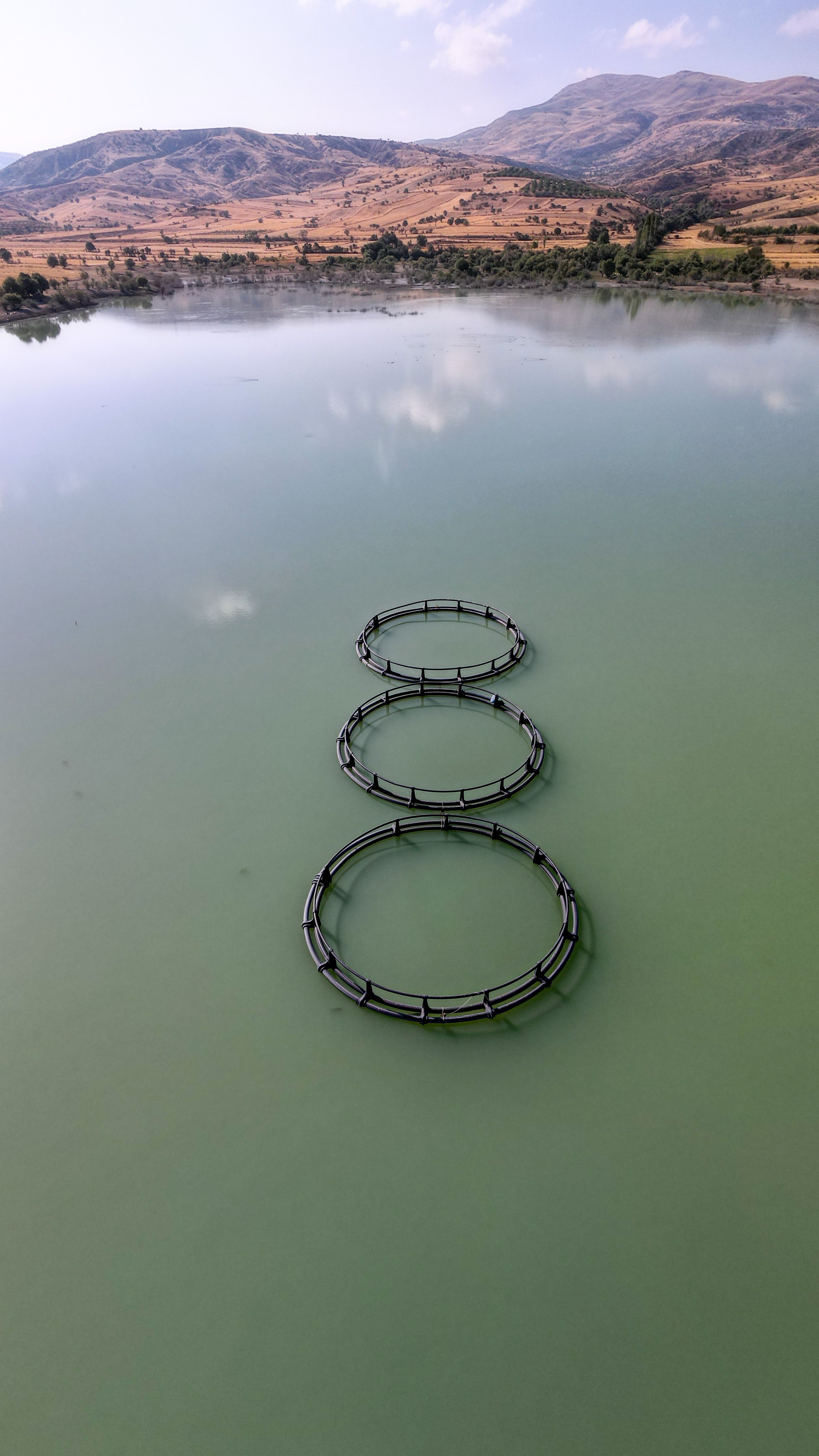 Aerial View of a Fish Farm and the Shore · Free Stock Photo