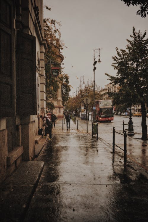 Imagine de stoc gratuită din caldarâm, fotografiere verticală, localitate