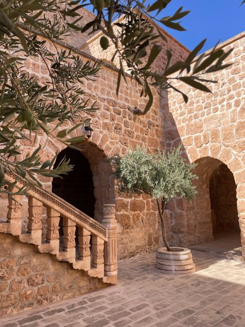 Free Charming stone courtyard featuring olive tree and arched architecture, evocative of Mediterranean style. Stock Photo