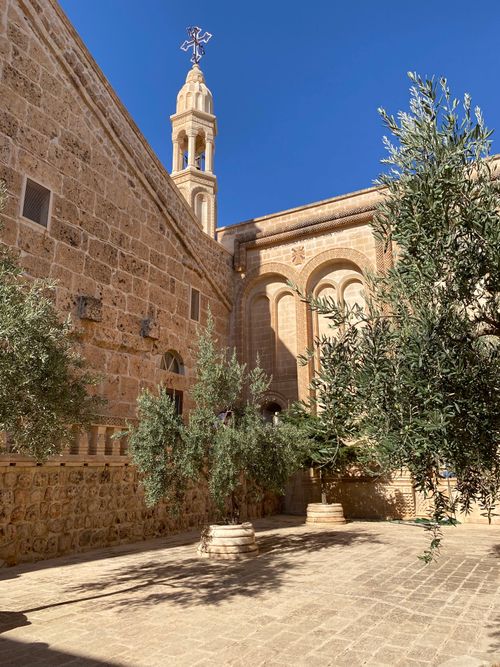 Free Serene church courtyard with olive trees and towering architecture under a blue sky. Stock Photo