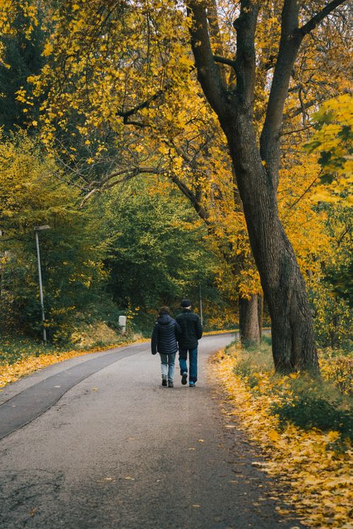 Free A couple strolls on a leaf-covered path in Schmalkalden, Germany, surrounded by vibrant fall foliage. Stock Photo