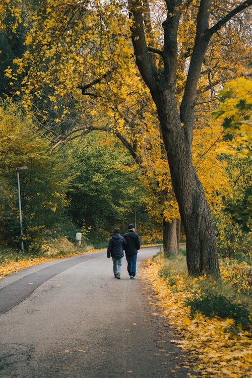 Elderly Couple Walking on Road with Colorful Trees around in Autumn