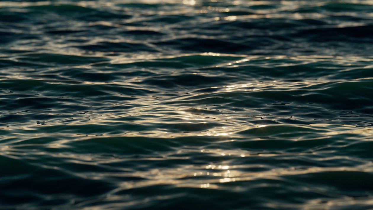反射, 水, 海 的 免費圖庫相片