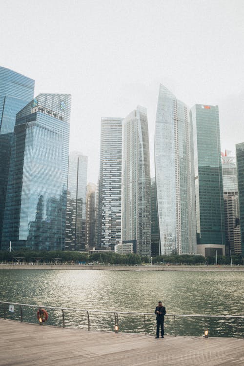 Person Standing On Dock With High-rise Buildings Background