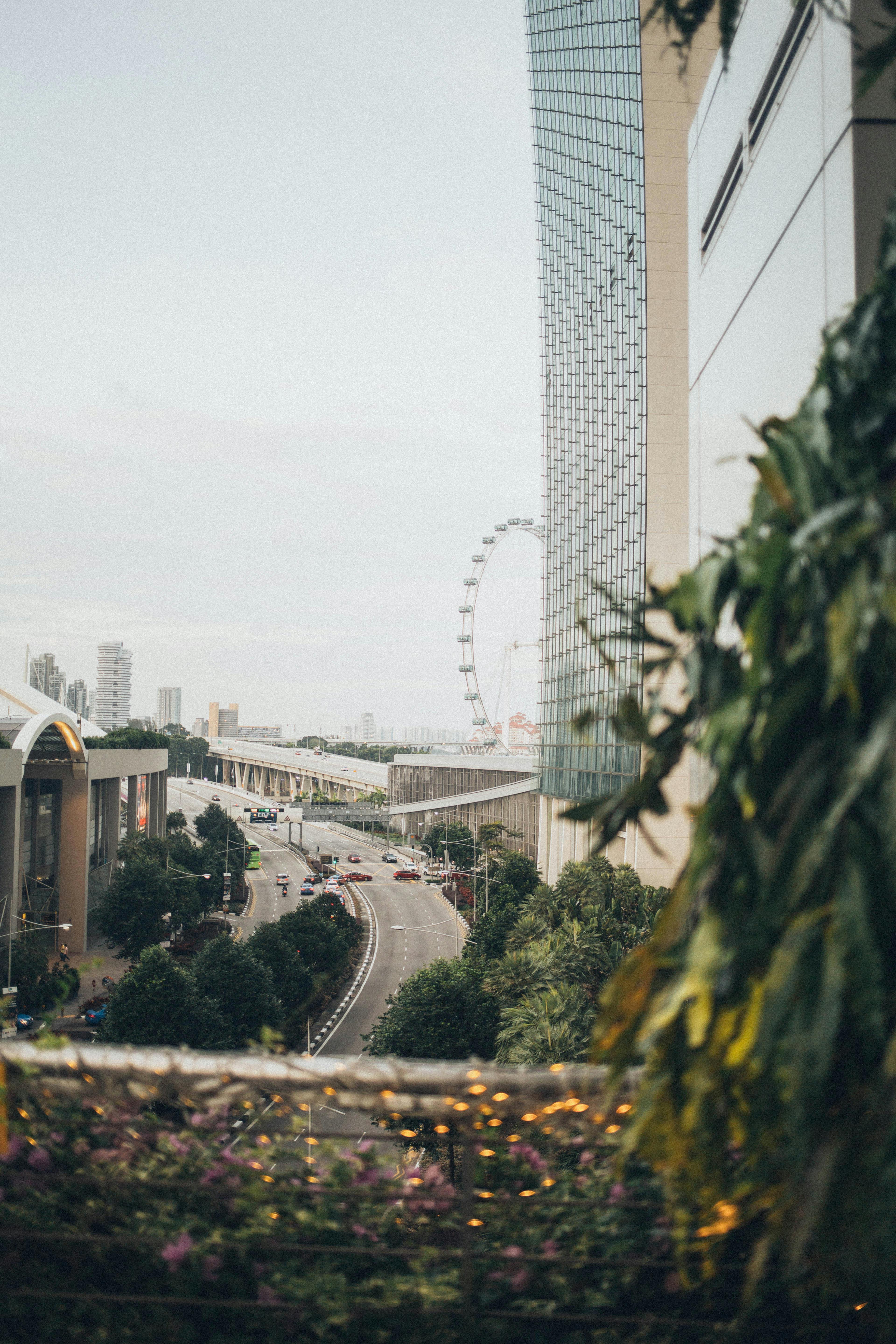 城市景观以现代摩天大楼和远处的摩天轮为特色