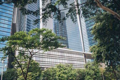 무료 고층 건물 스톡 사진