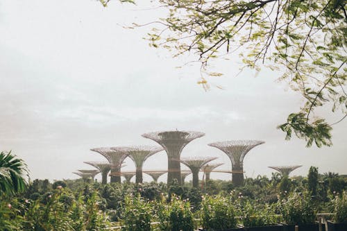 Tuinen Langs De Baai, Singapore