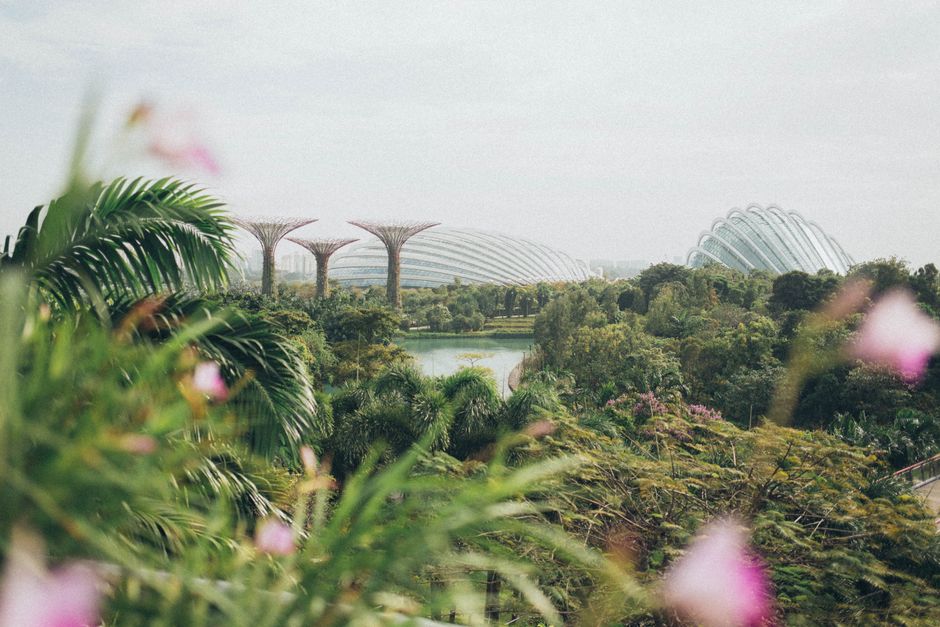 A vibrant view of Gardens by the Bay in Singapore, featuring lush greenery and iconic structures.