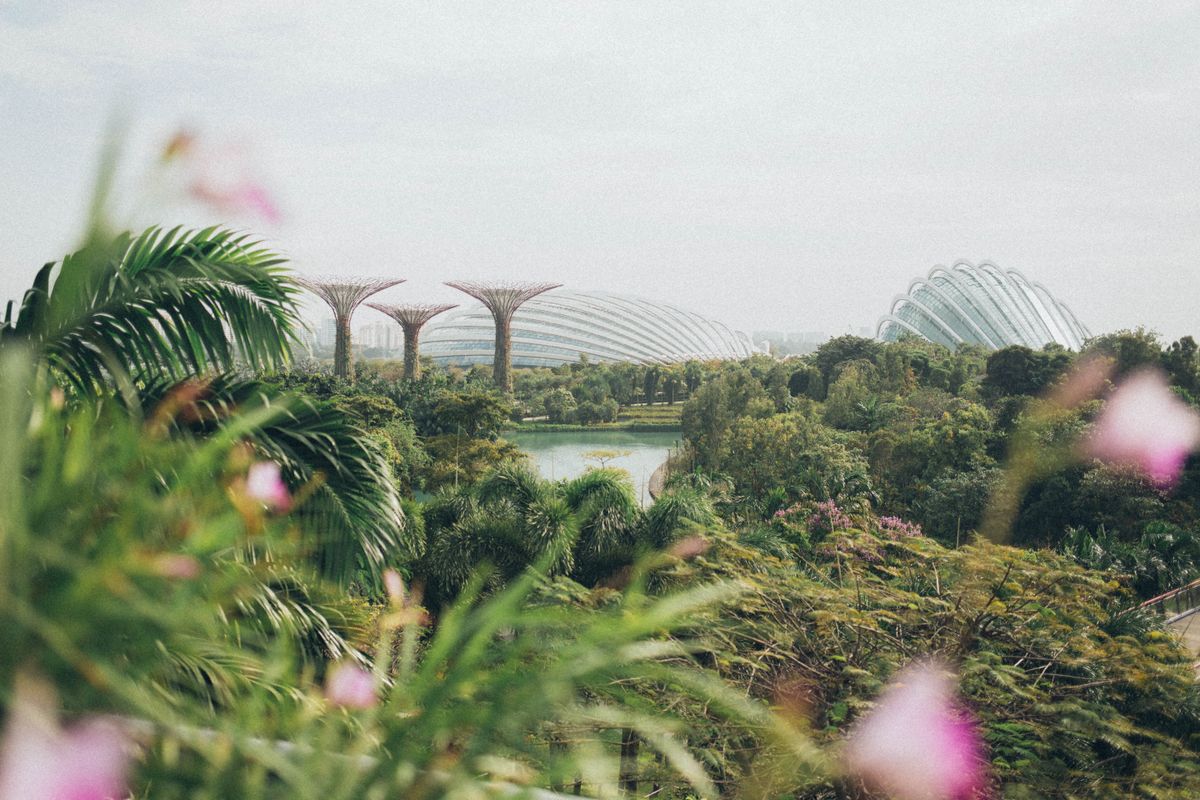 A vibrant view of Gardens by the Bay in Singapore, featuring lush greenery and iconic structures.