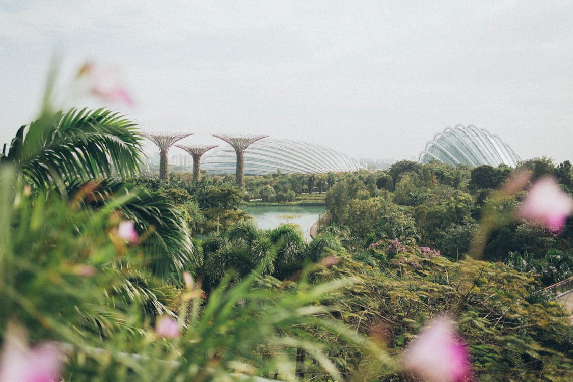 Singapour