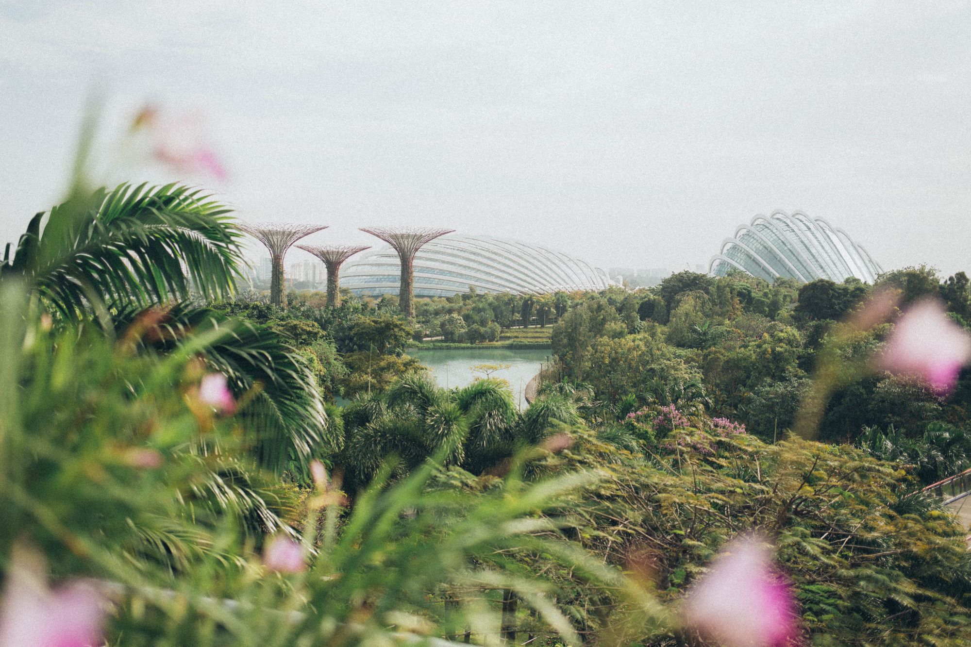 Singapore scenery