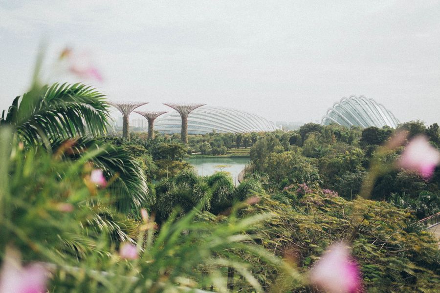 Singapore — day 1
