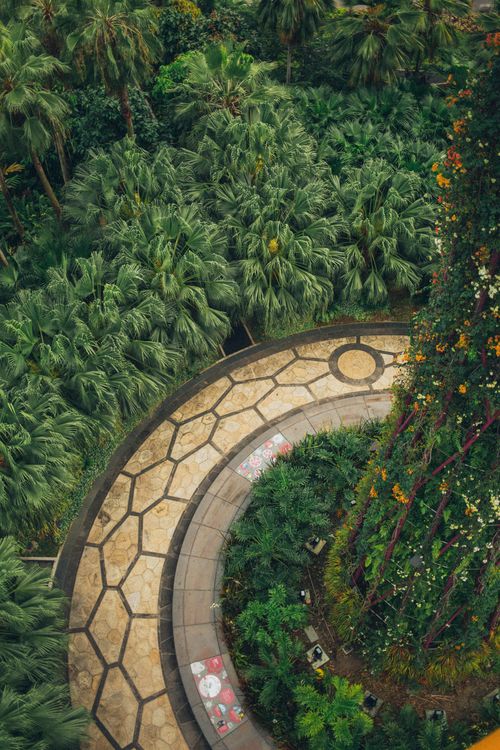Palms in a tropical garden by Elina Sazonova on Pexels