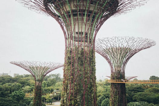 新加坡滨海湾花园超级树的特写镜头，展现了独特的建筑风格