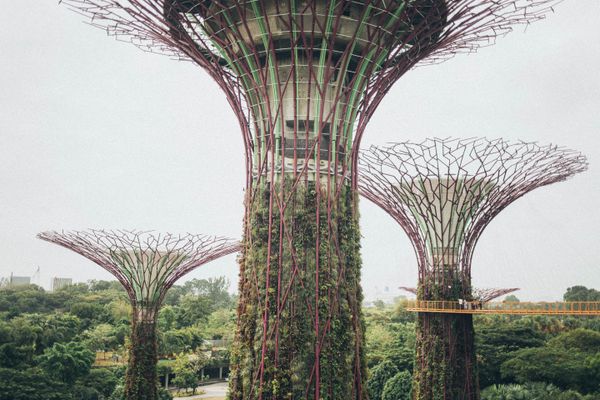 Singapore City Tour